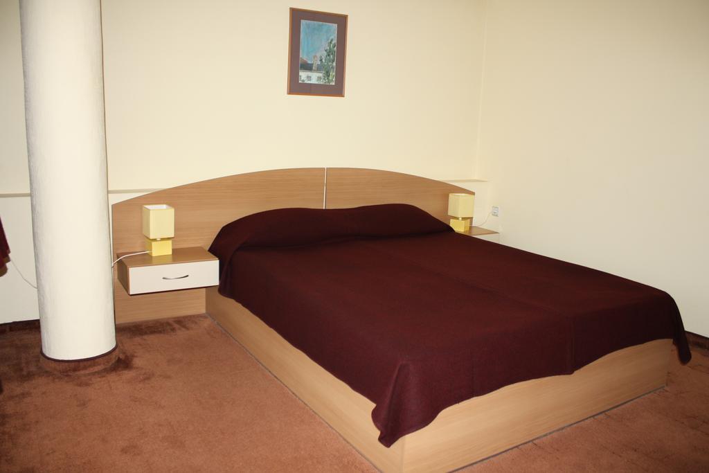 Hotel Of Bulgarian Academy Of Sciences 소피아 객실 사진